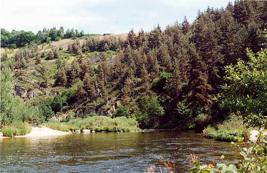allier1