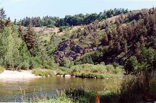 allierpl