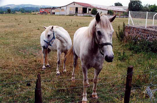 fchev3
