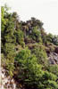 falaise