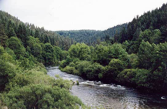 pallier3