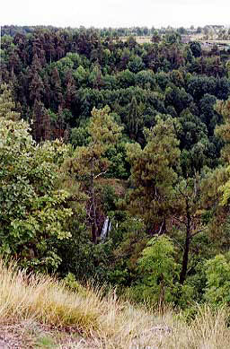 cascade0