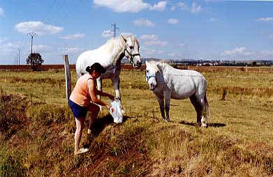 muchevx