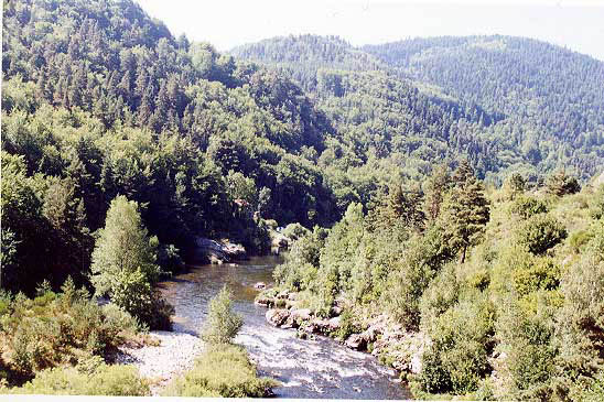 allier11