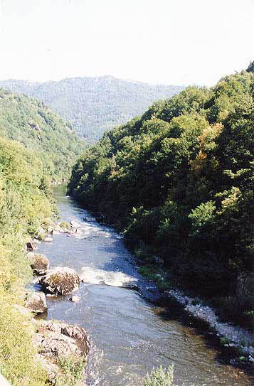 allier17