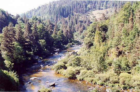 allier2