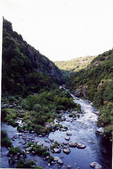 allier24