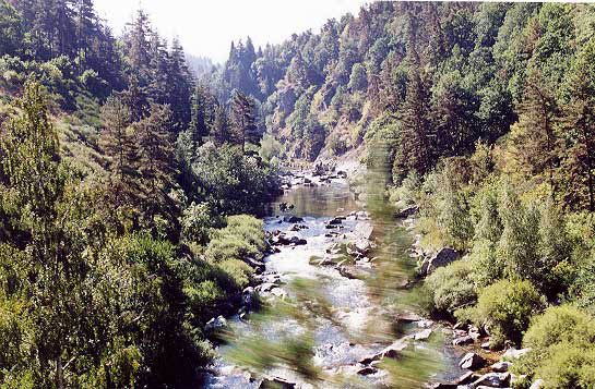 allier3