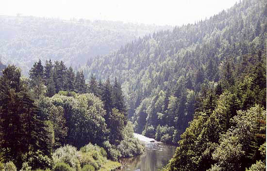 allier7