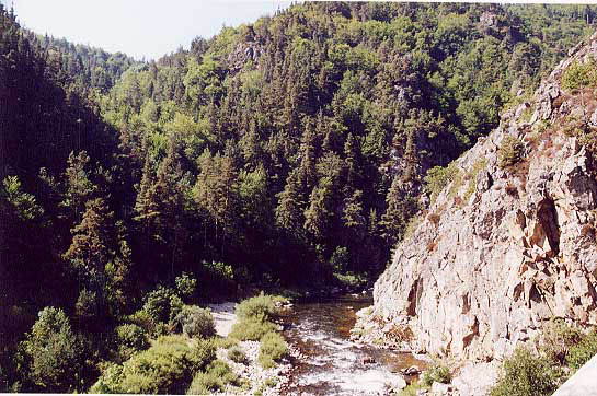 allier8