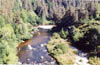 allier1