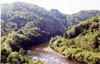 allier10