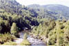 allier11