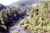 allier2