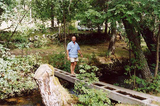 michel2