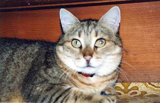 minet2