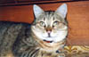 minet2