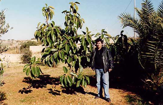 24Ageocaou
