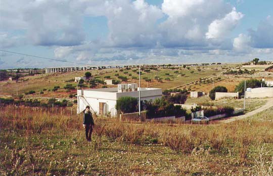 A01