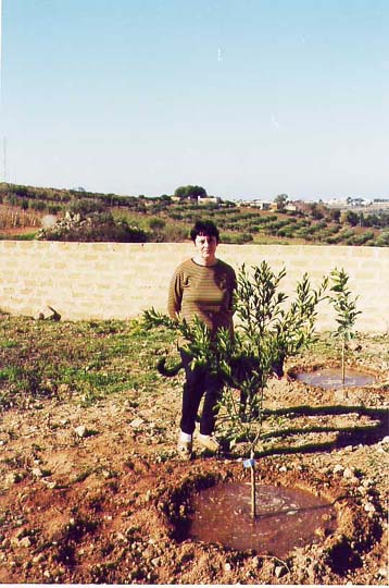 A19